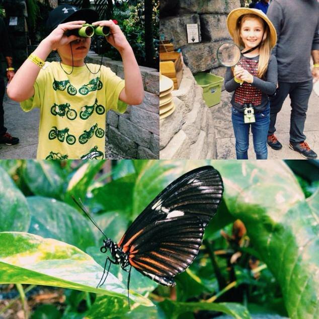 A Day Spent Touring Talking Rocks Cavern, Hollywood Wax Museum, and Butterfly Palace at Branson Missouri. #TalkingRocksCavern #HollywoodWaxMuseum #ButterflyPalace #BransonMissouri #Missouri #tourism #branson #homeschool #travel #ad #usfg